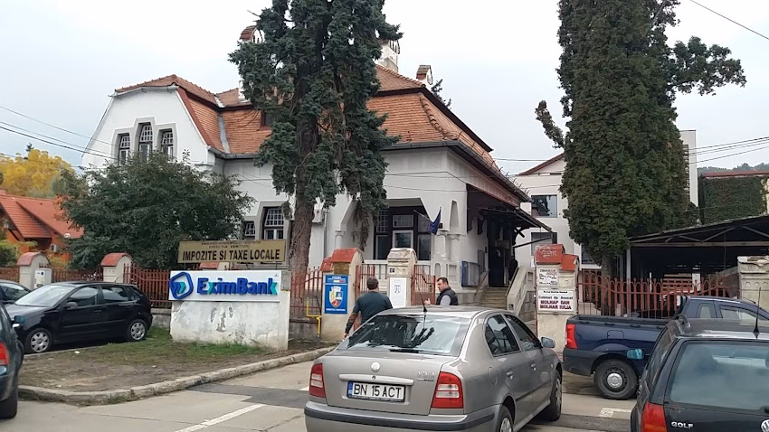 Impozite si taxe Locale