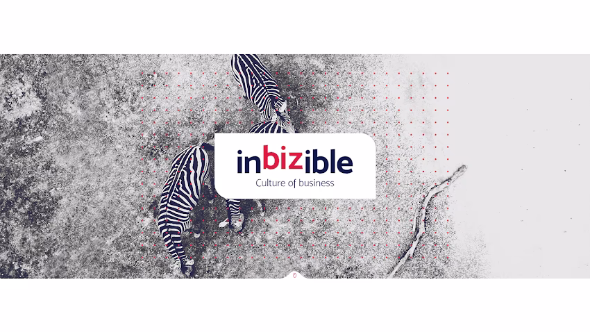 InBIZible