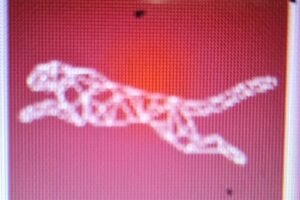 Infiintari firme Bacau Buzău Suceava Vaslui Focsani Iasi Neamt Galați Constanta Bucuresti Cluj Mures