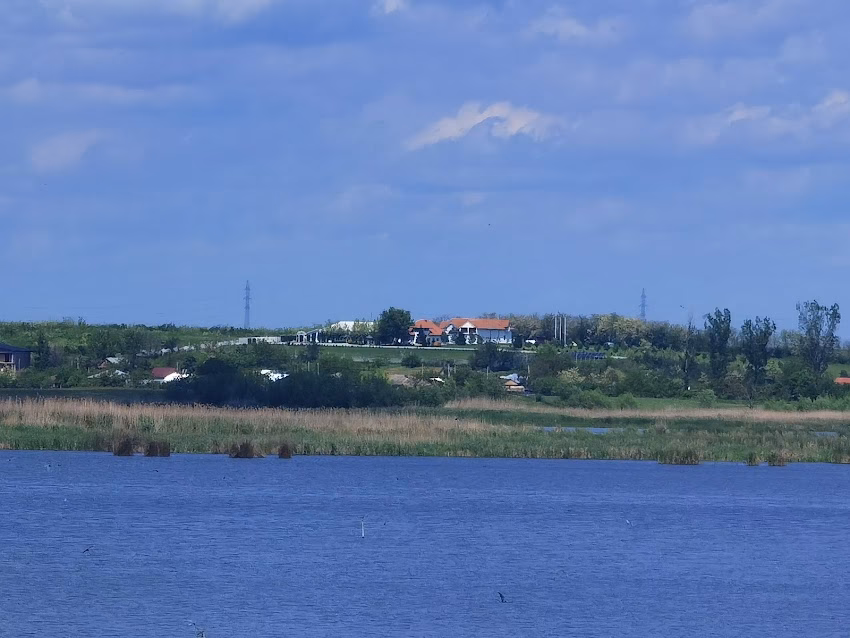 Infinity Garden Events