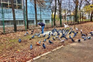 Ior Întreprinderea Optica Română