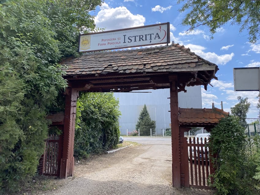 Istriţa Pepinieră Pomicolă