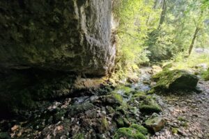 Izbucul de la Cotețul Dobreștilor