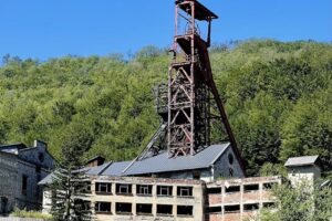 Kelemen International