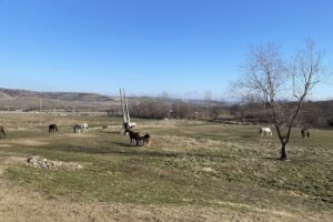 La Finca by Home Cuisine previously La Mesteceni Country Club