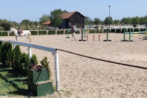 La Salcii As Ecvestra