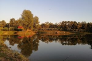 Lac pescuit Fűzi halastó
