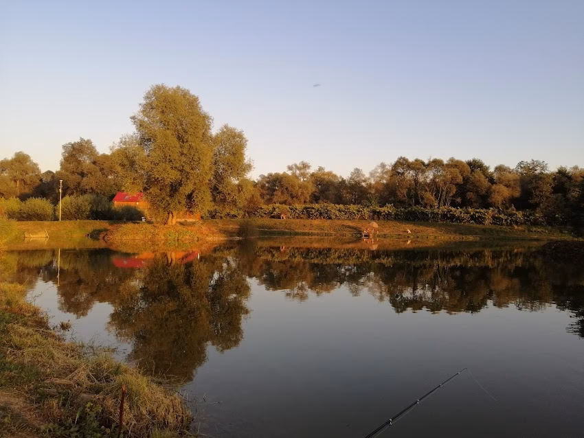 Lac pescuit Fűzi halastó