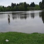 Lacul Boiereasca Modarzau