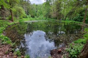 Lacul cu Nuferi Baile Olanesti