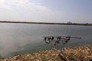 Lacul de la balastiera Buzau