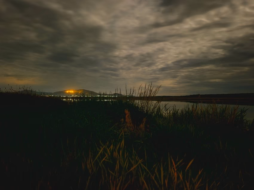 Lacul Dunărea Veche