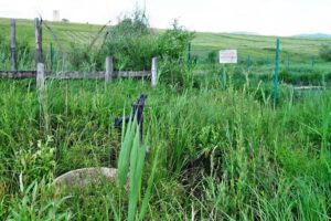 Lacul Fără Fund Feneketlentó