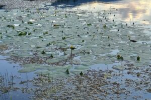 Lacul Fosta Carieră