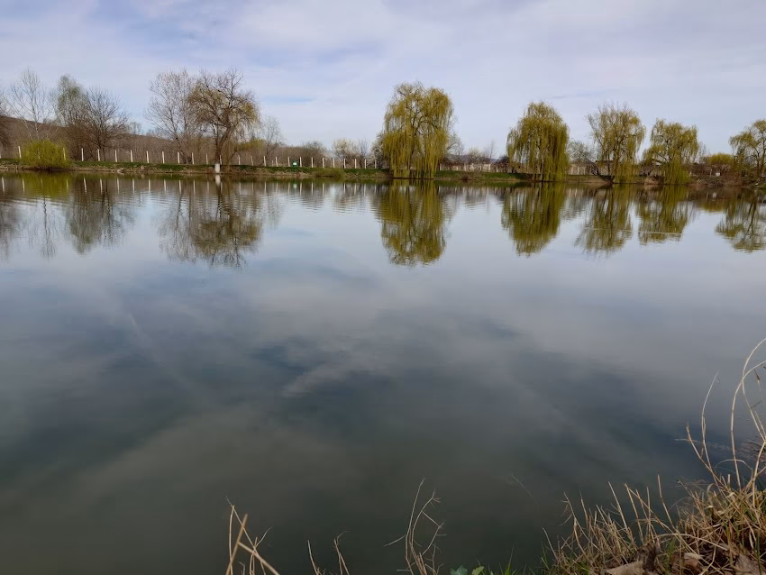 Lacul Lipănești