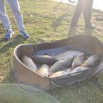 Lacul Tancabesti 2 Complexul Tancabesti