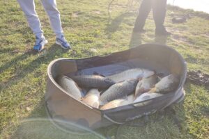 Lacul Tancabesti 2 Complexul Tancabesti