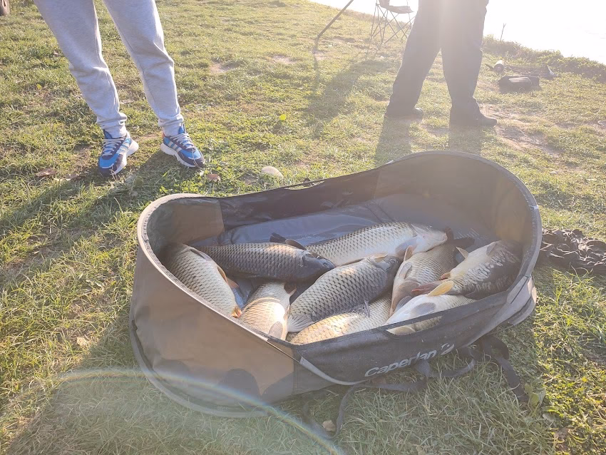 Lacul Tancabesti 2 Complexul Tancabesti