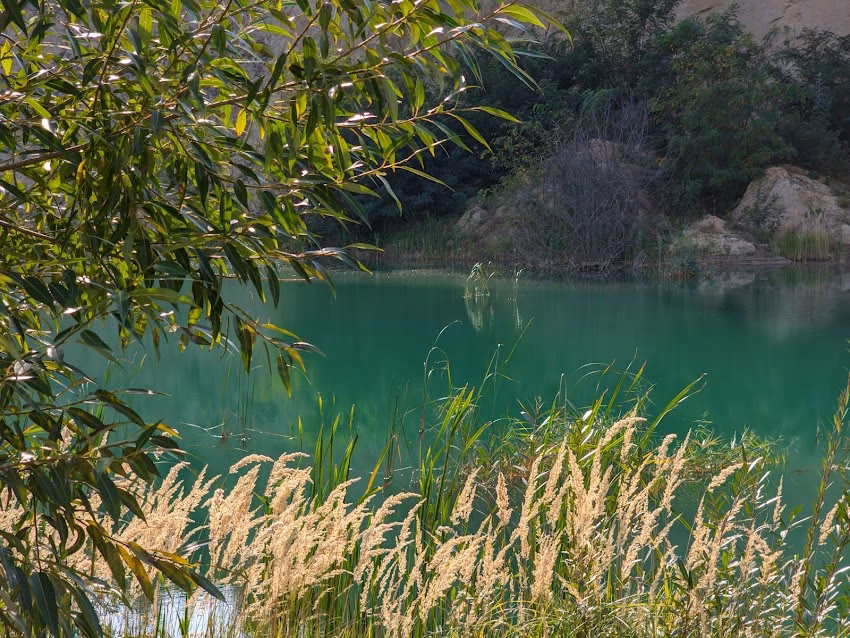 Laguna Albastră