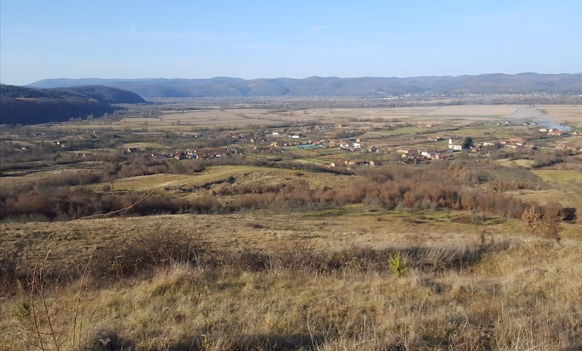 Lalaşinţ