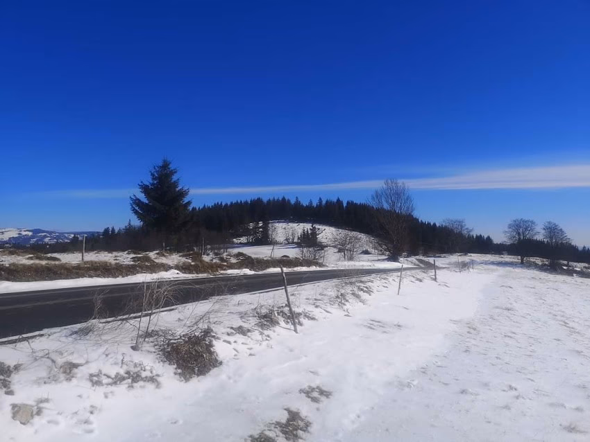 Lăzești