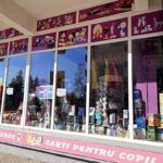 Libraria Andra Domino