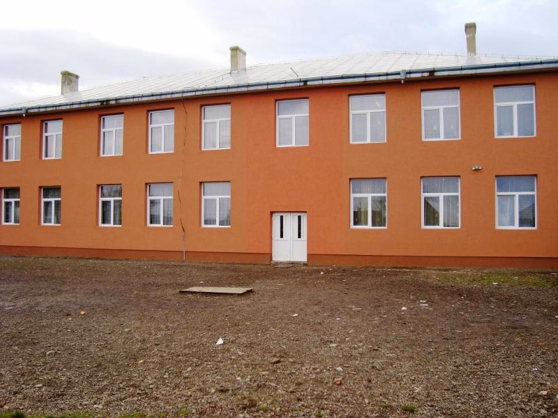 Liceul Tehnologic Special Bivolarie