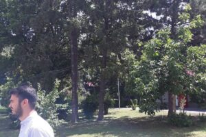 Liceul Tehnologic Vintilă Brătianu