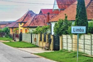 Limba