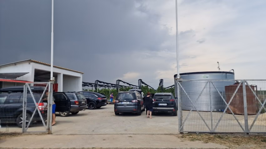 Livada Ciresi Limanu Hagieni