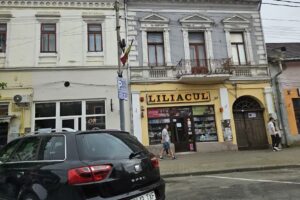 Magazin Central Liliacul