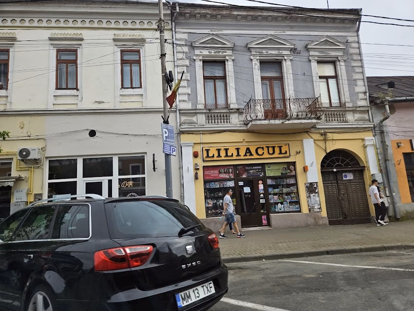 Magazin Central Liliacul