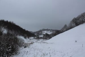 Mănăstirea Bichigiu