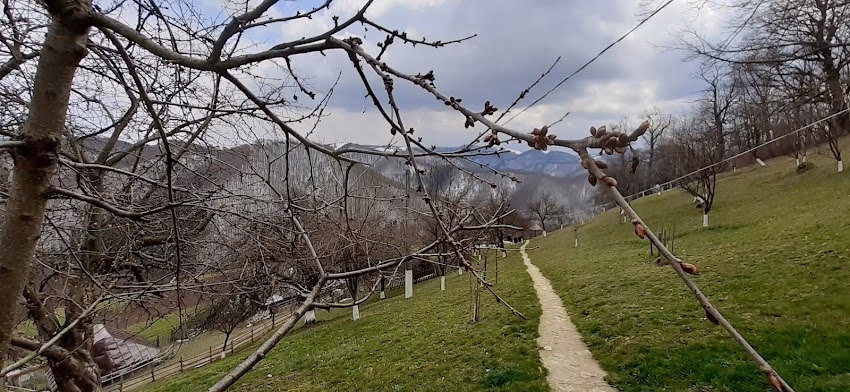 Mănăstirea Călene