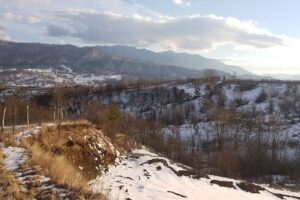 Mănăstirea Gruiu Lupului