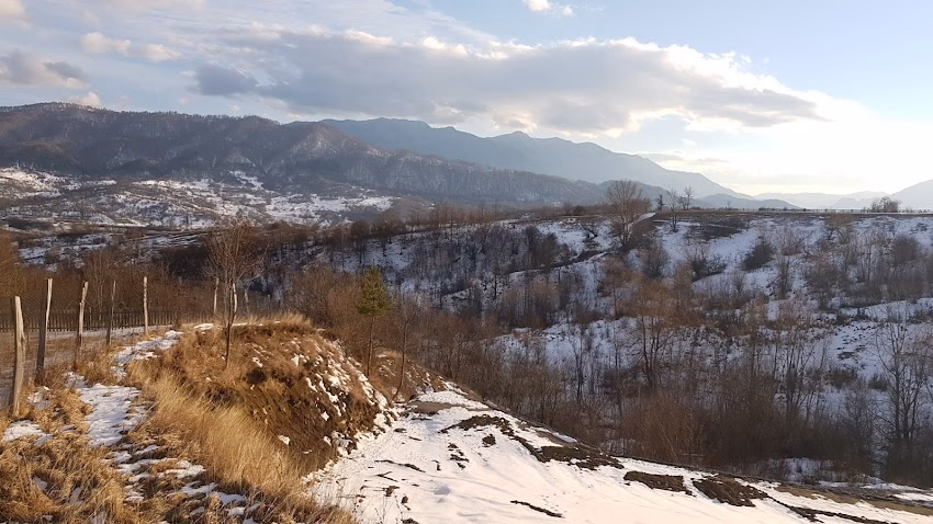 Mănăstirea Gruiu Lupului