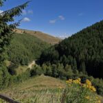 Manastirea Magura Jina