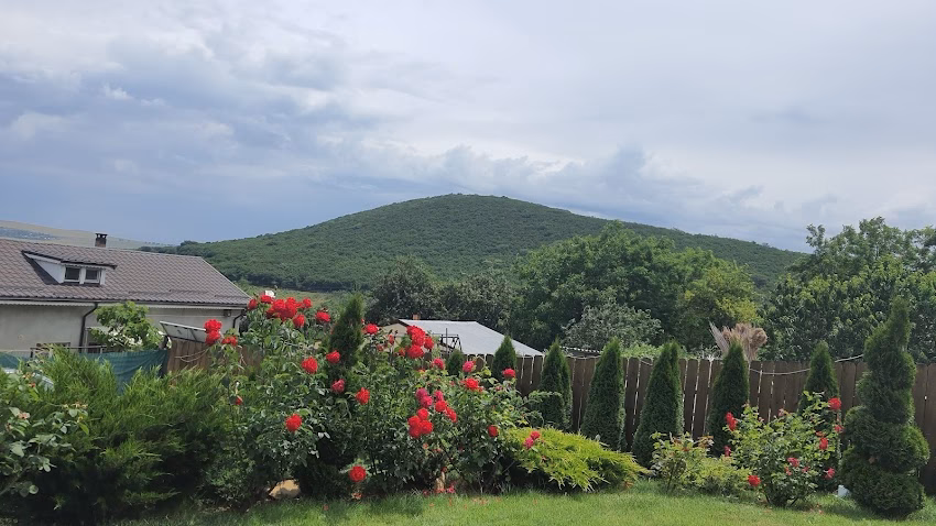 Mănăstirea Nașterea Maicii Domnului și Sfânta Parascheva