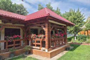 Mănăstirea Radu Negru