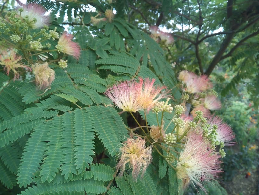 Manastirea Sf Elena de la Mare