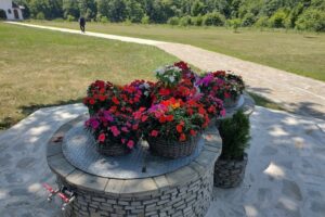 Mănăstirea Sihăstria Dragomirnei