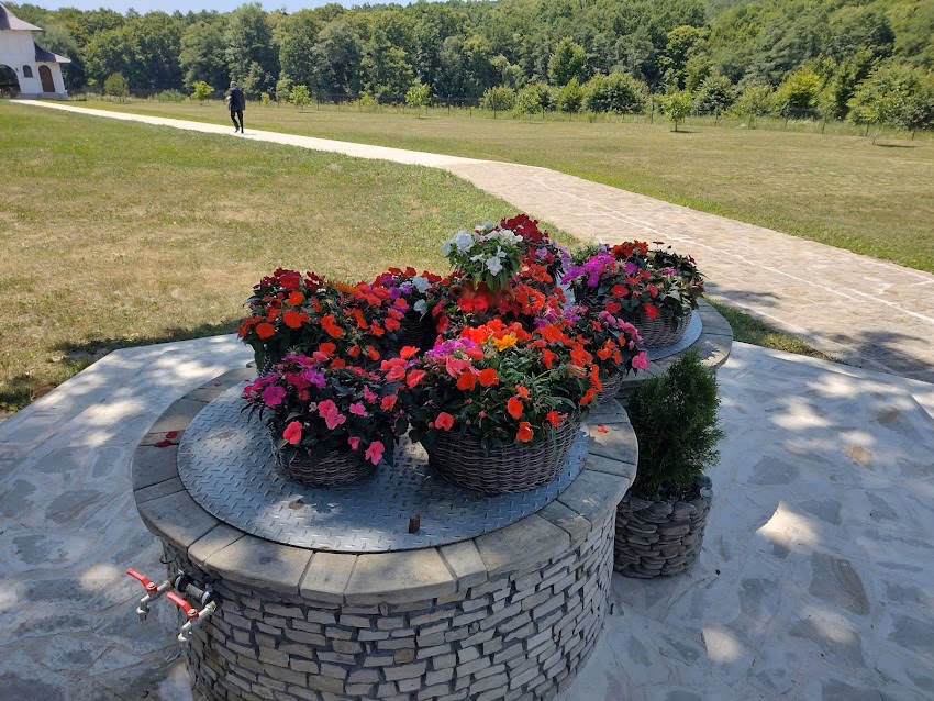 Mănăstirea Sihăstria Dragomirnei