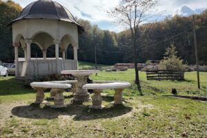 Mănăstirea Șinca Nouă