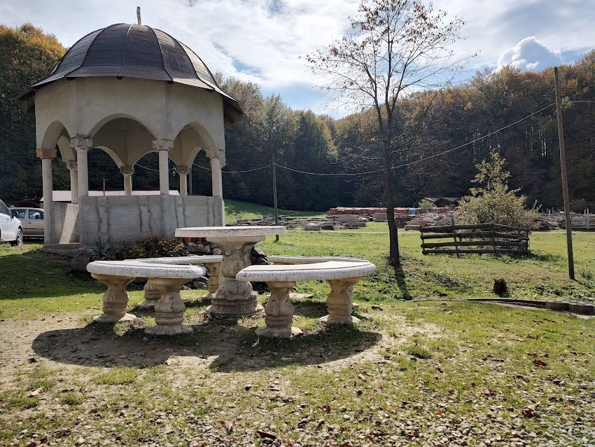 Mănăstirea Șinca Nouă