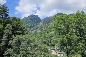 Mănăstirea Stânișoara