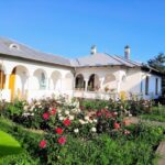 Mănăstirea Țigănești