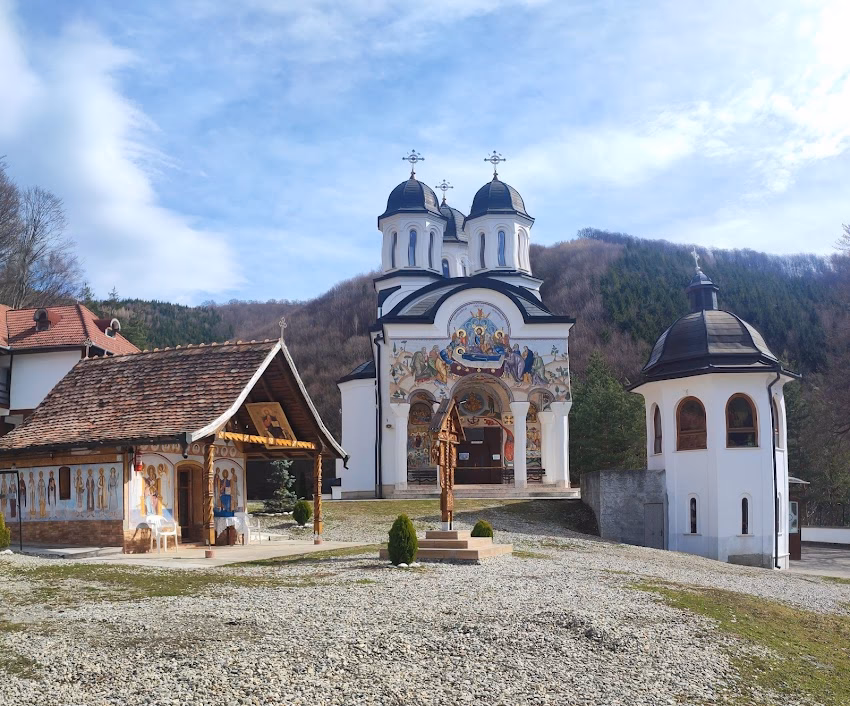 Mănăstirea Turnu Roșu