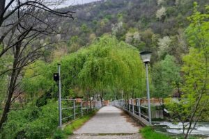 Mănăstirea Vişina