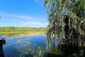 Mandaloun Garden by Lacul Racilor