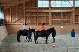 Manejul de cai islandezi Ivó